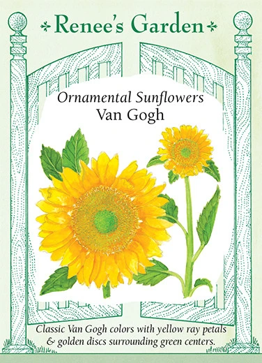 RG Sunflower Van Gogh 